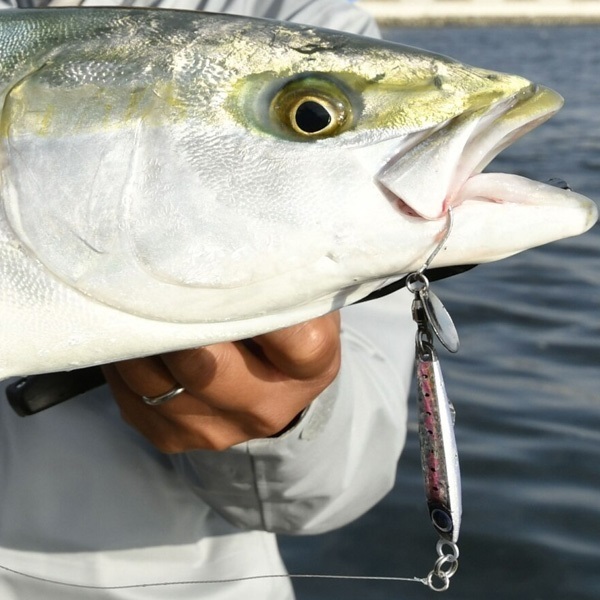 OCEA メタルショットTG 40g ボートサワラ